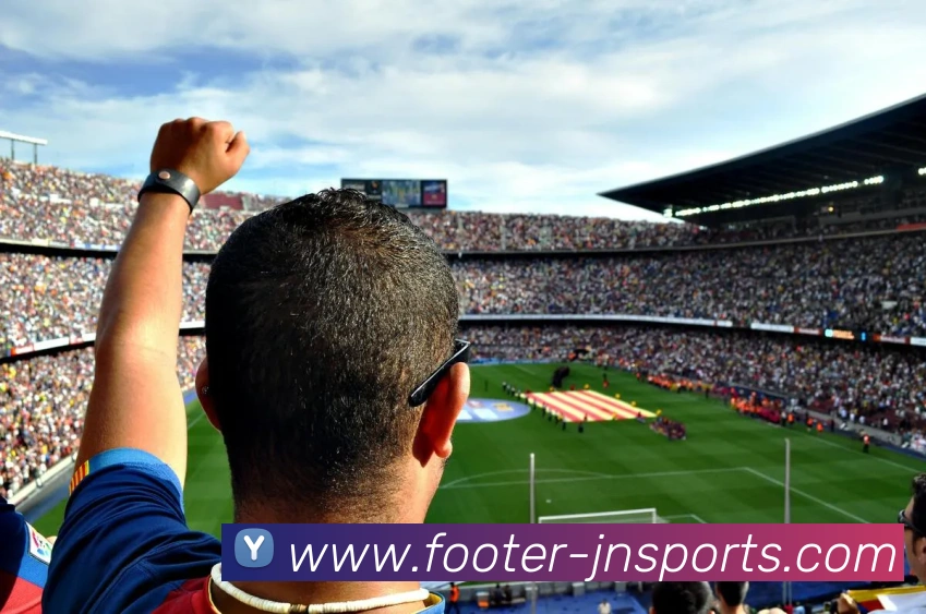 江南体育平台生态图